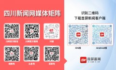 更能吸引上下逛财产链企业扎根四川、布